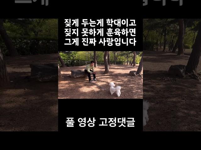 100만짖게 두는게 학대이고 짖지 못하게 훈육하면 그게 진짜 사랑입니다