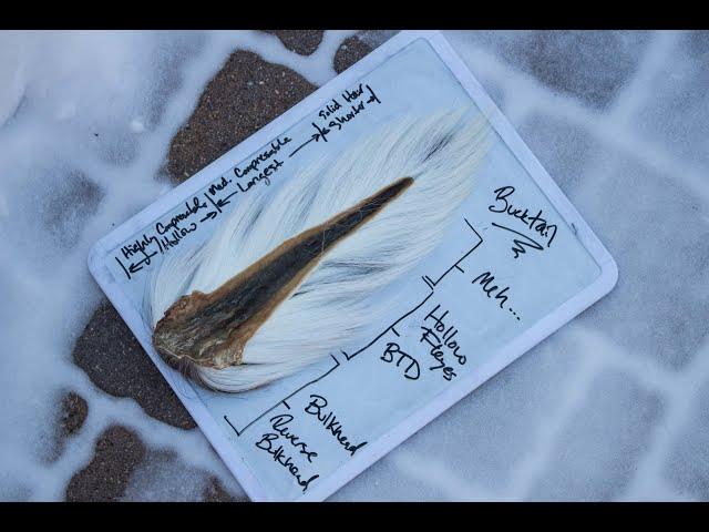 Bucktail - Anatomy. Hair Selection, What, When, and WHY!