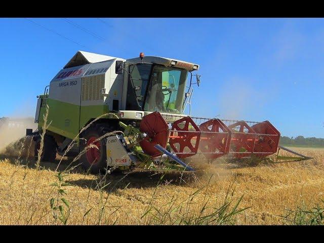 Wheat harvest 2018 - Claas Mega 350