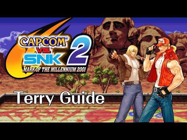 Capcom Vs. SNK 2 - Terry Guide
