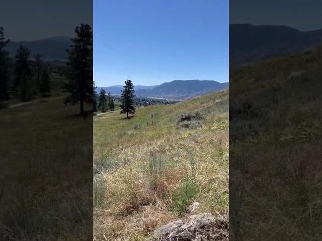 Cactus in super hot Penticton BC and big dandelion 