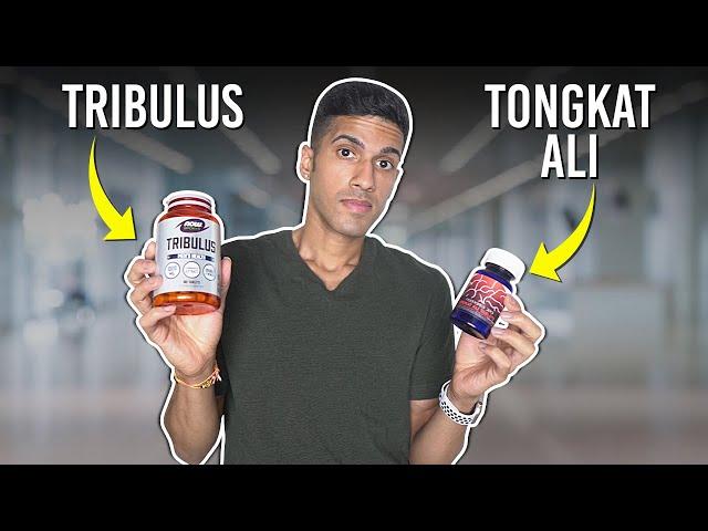 Tongkat Ali vs Tribulus, Don't Make A Mistake!