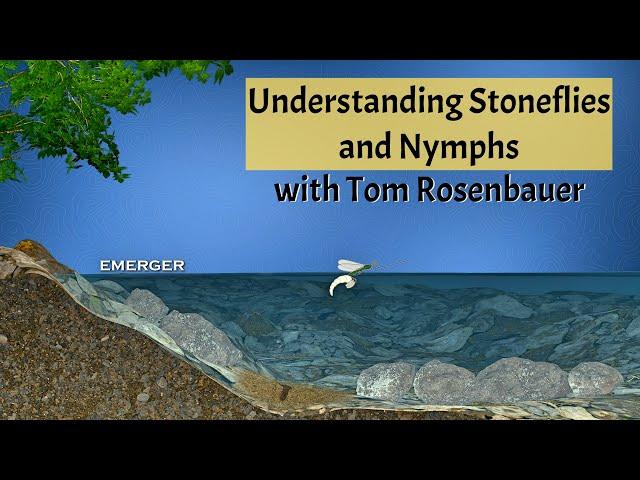 Understanding Stoneflies and Nymphs with Tom Rosenbauer