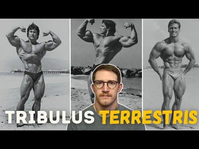 Tribulus Terrestris | The Old School Testosterone Booster