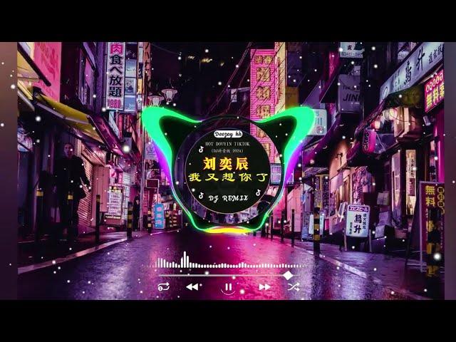 2025最火歌曲DJ Remix 抖音版 / 最佳Tik Tok混音音樂【2024月最火中文 】Chinese Dj Remix : En - 妥协 \ 阿冗 - 你的答案/ 刘瑾睿 - 若把你