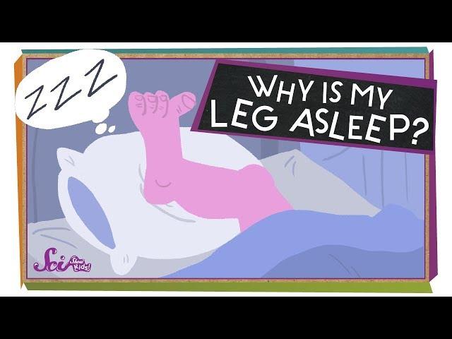 Why Is My Leg Asleep?