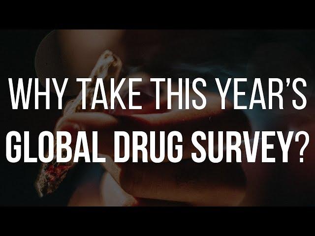 Why Take This Year's Global Drug Survey?