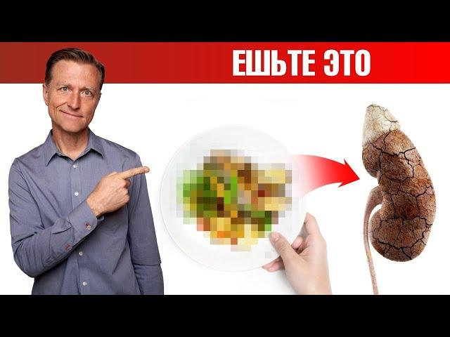 Продукт №1 при болезнях почек. Как поддержать здоровье почек