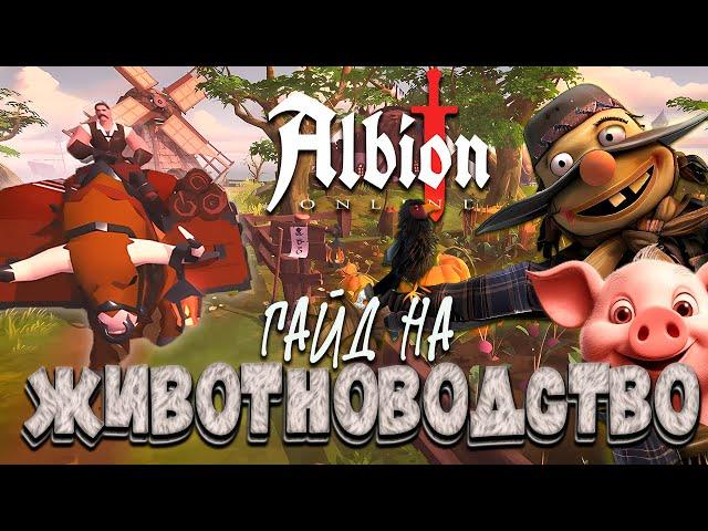 ГАЙД НА ЖИВОТНОВОДСТВО в Альбион Онлайн | Фермерство в Albion Online для новичков