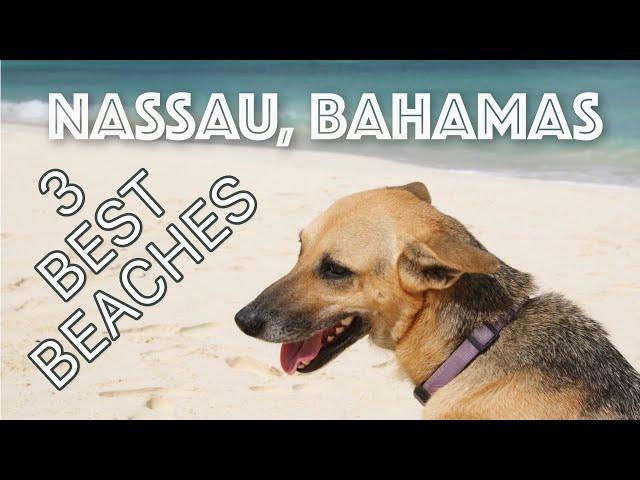 Three Best Beaches Nassau Bahamas (Secret beach)