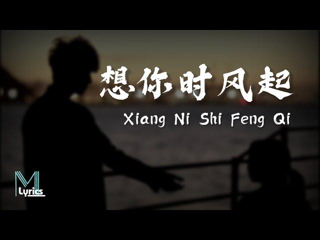 Dan Yi Chun (单依纯) - Xiang Ni Shi Feng Qi (想你时风起) Lyrics 歌词 Pinyin/English Translation (動態歌詞)