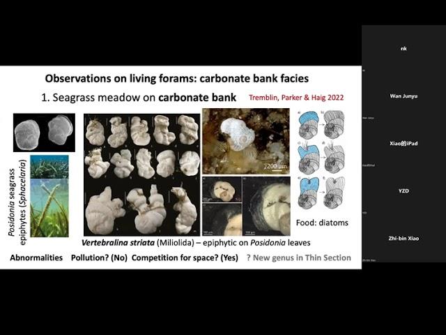 Back to the Future: Foraminifera