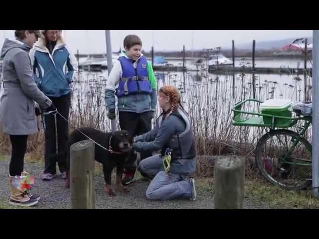 Autism Support Network final2 HD