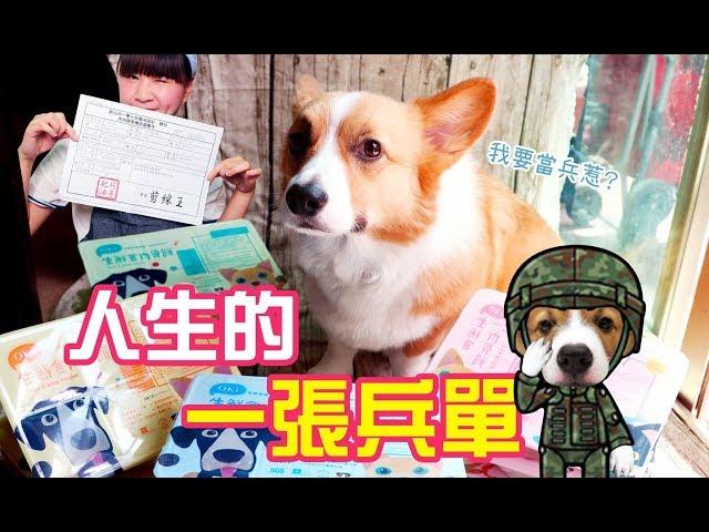 柯基犬肥油 X 人生的一張兵單