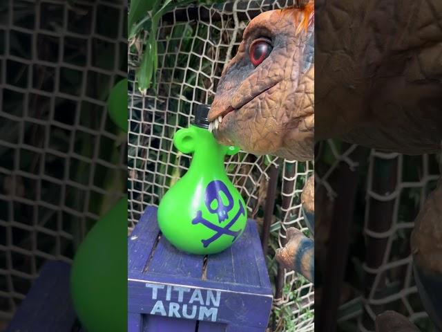 Don’t sniff the poison!! #dinomania #dinosaur