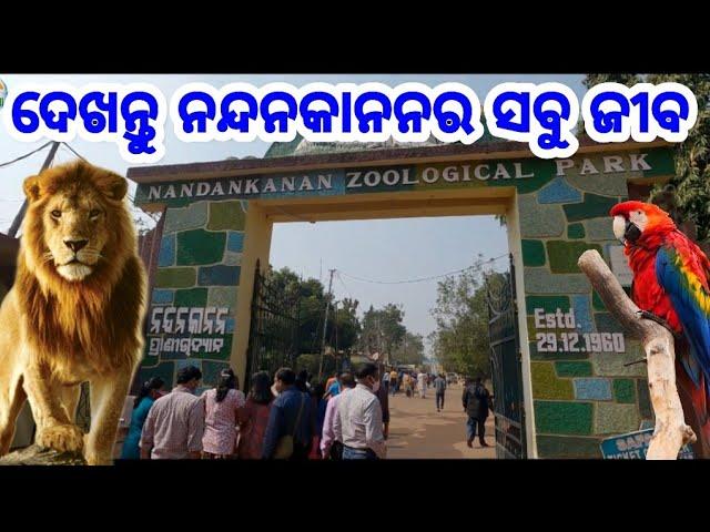 Nandankanan Zoo Odisha Bhubaneswar, All animals, birds, reptiles mammals full Video 2021 first Vlog