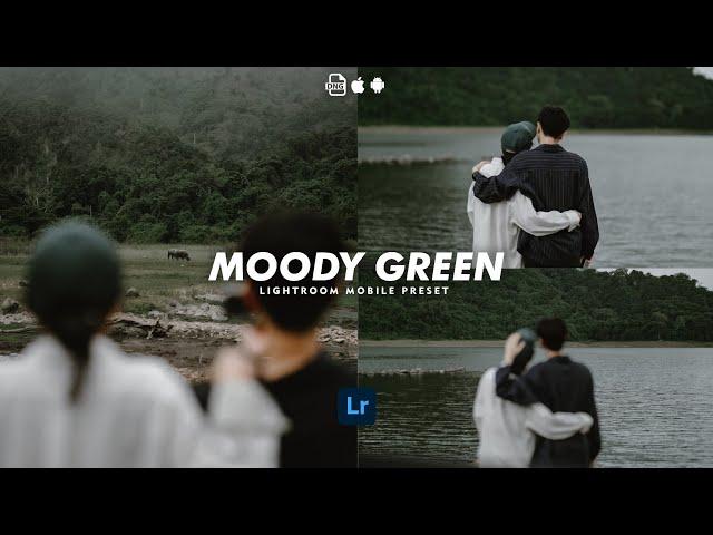 Moody Green  - Lightroom Mobile Presets | Moody Green Presets | Moody Filter | Dark Filter