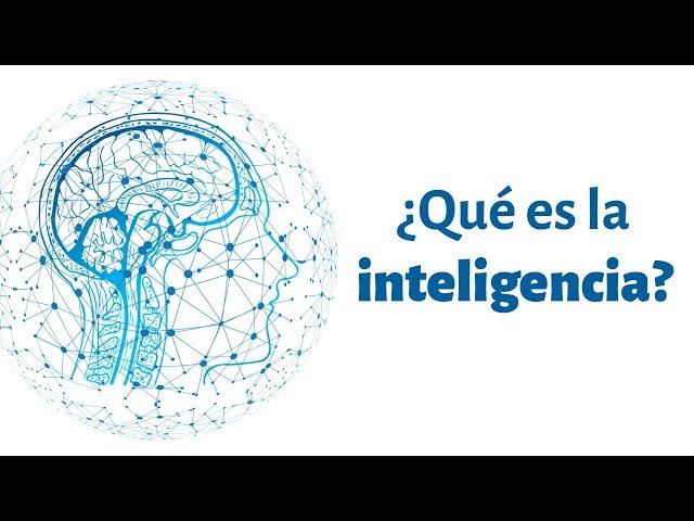 Qué es la inteligencia y cómo ser más inteligente