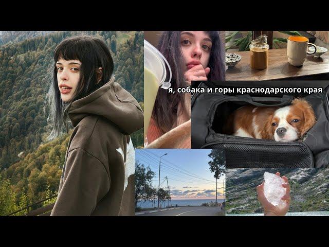 ретрит в горах и собака-путешественник.mp4