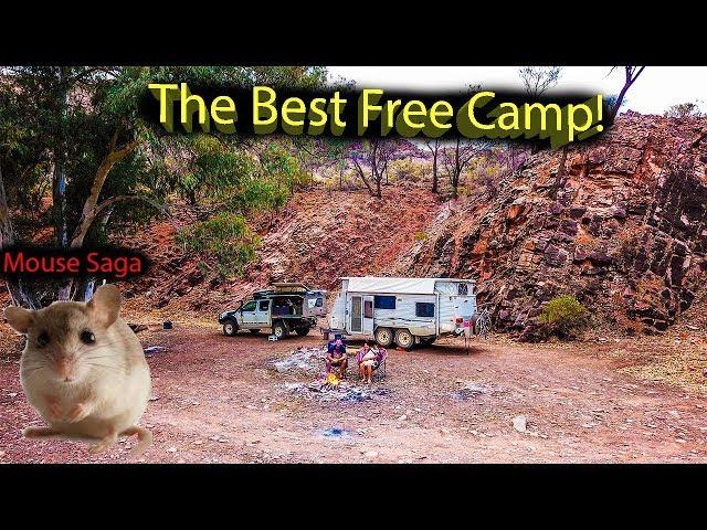 This is FREE? Flinders Ranges. Ep.46 - Free Camping Roadtrip Australia