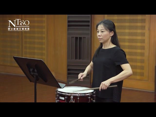 國立臺灣交響樂團_樂器示範_snare drum