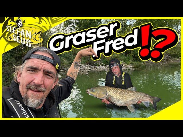 Am WILDEN SEE | Ich werd zum GRASER FRED  | Große Köder-Große Fische?