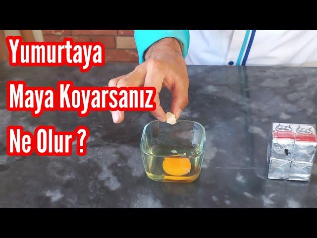  YUMRURTAYA YAŞ MAYA EKLERSENİZ........?