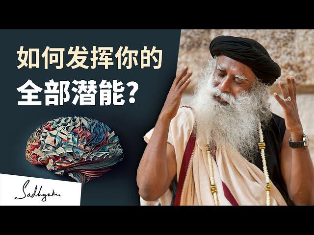 如何发挥你的全部潜能 ？| Sadhguru 萨古鲁