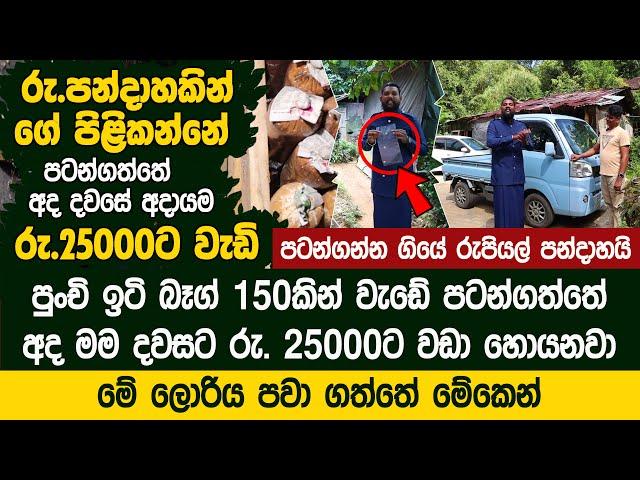 ඉටි බෑග් 150කින් වැඩේ පටන්ගත්තේ අද දවසට රු. 25000ට වඩා හොයනවා - Mushroom Cultivation