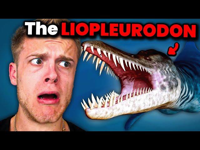 The Weirdest Animals That Went Extinct.