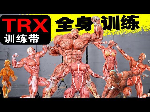 全网首发，全套TRX训练带全身训练【飞特那斯】