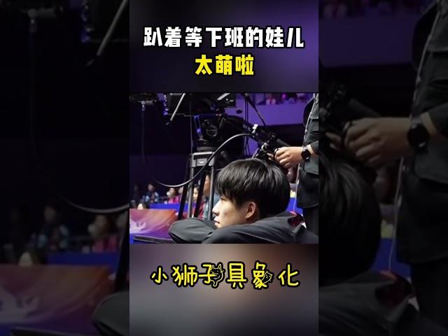 趴着等下班的娃儿，太萌啦#王楚钦