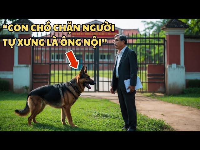 Chú Chó Chặn Đường “Ông Nội Đón Cháu” – Không Ngờ Là Vụ Bắt Cóc Bị Chú Chó Phát Hiện