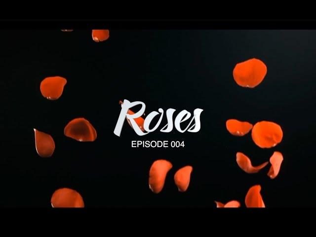 Roses (004): Anthony, Risse & The Lombardos