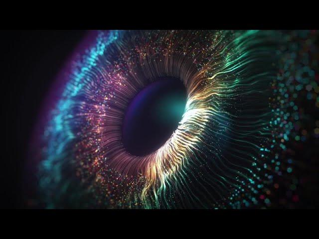 NETSCOUT | Omnis Wave of Innovation