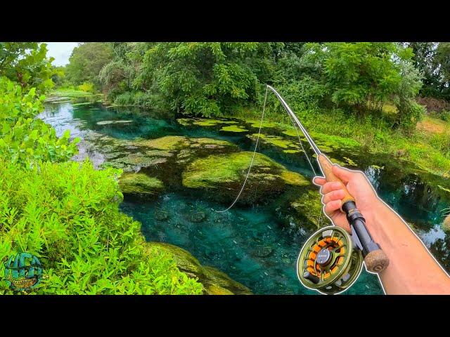 IS THIS THE BEST PLACE TO TROUT FISH?! || Fly Fishing for Brown, Brook, and Rainbow Trout