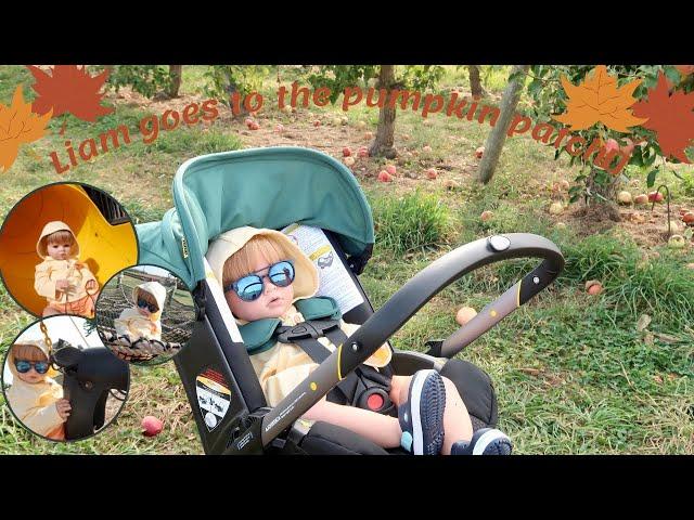 Going to the Pumpkin Patch With Reborn Toddler Liam + Morning Routine | Sophia's Reborns