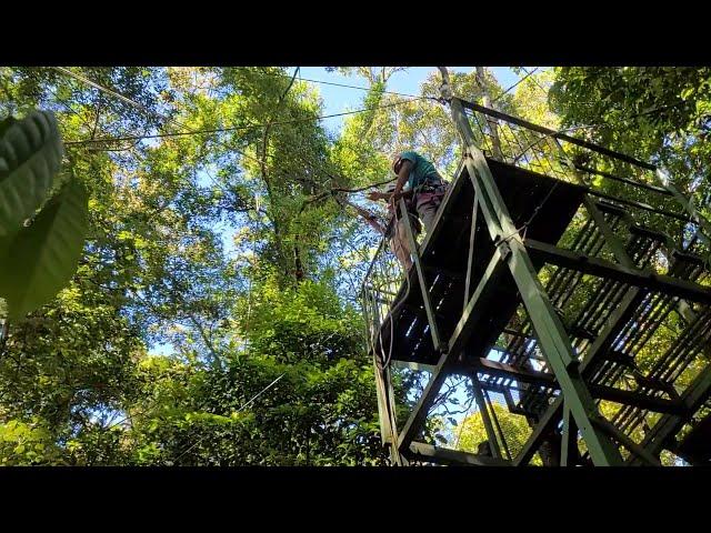 The Original Canopy Tour Monteverde #1 - Monteverde Cloud Forest - Saturday, March 6, 2021