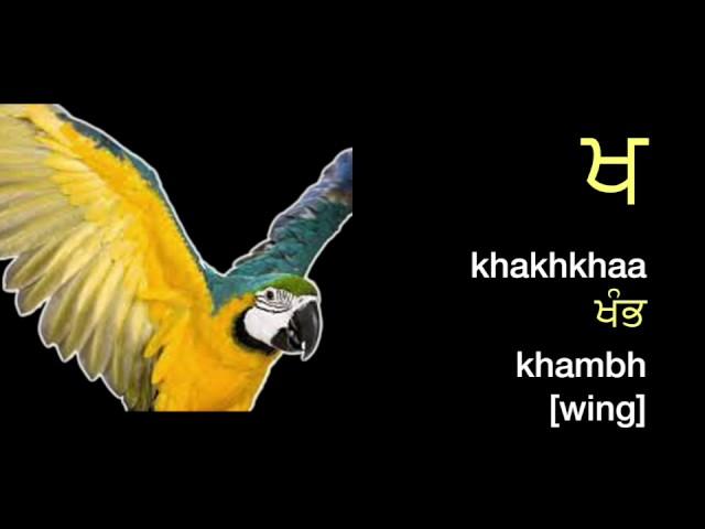 Learn Punjabi, Learn English: How to read and  pronounce Punjabi letters