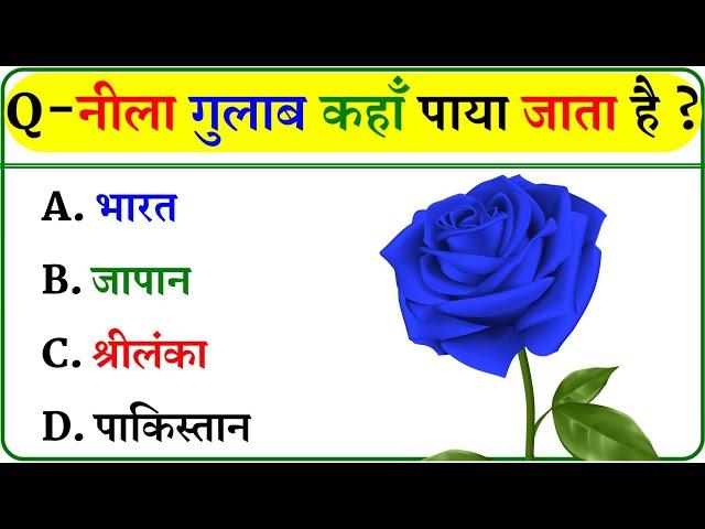 GK Question || GK In Hindi || GK Question and Answer || GK Quiz ||