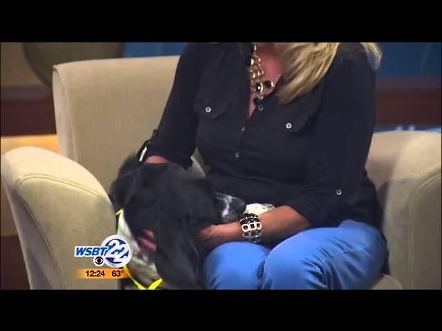 Pet of the Week: Freckles