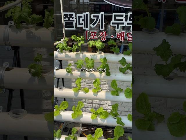 여기는 아주 그 뭐랄까.. 그..뭐, 아주.. 유명한