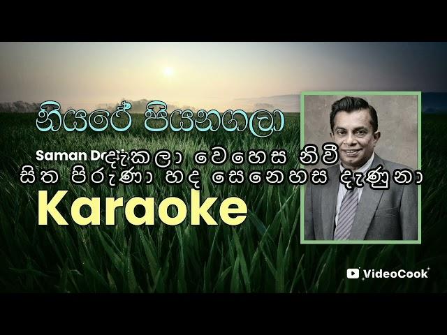 නියරේ පියනගලා/ Niyare piyanagala #karaoke