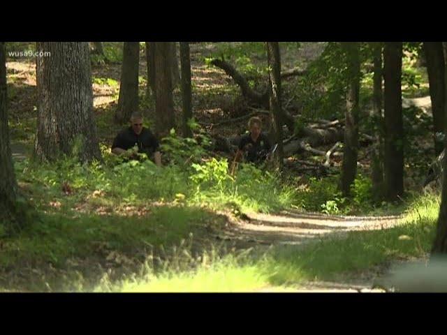 Police identify 3 killed in Spotsylvania with 'sharp object'