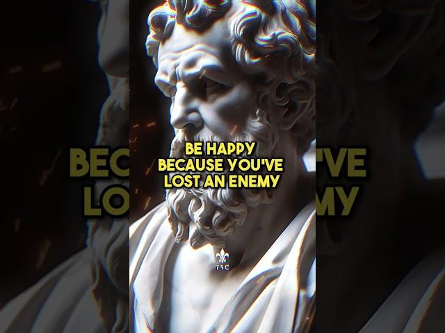 Stoic Wisdom for battling revenge  #stoic #stoicism #wisdom