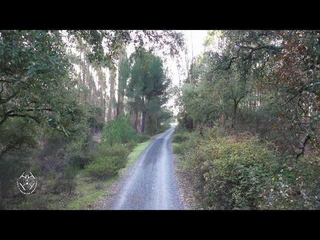 FUENTE DE LA CORCHA (BEAS) - HUELVA