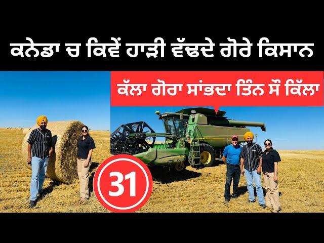 ਹਾੜੀ ਦੀ ਫਸਲ ਸਾਂਭਦੇ ਕਨੇਡਾ ਦੇ ਗੋਰੇ  Agriculture in Canada | Punjabi Travel Couple | Ripan Khushi