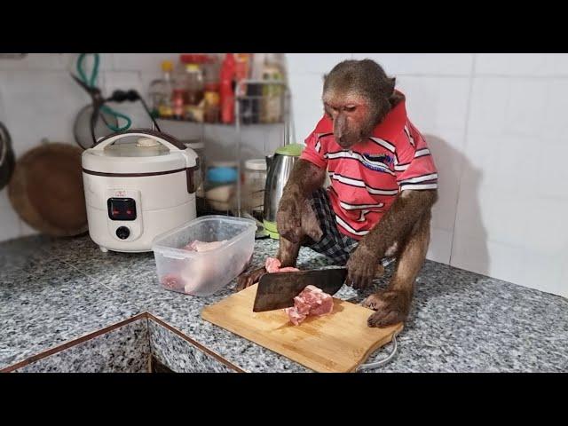 Monkey Abu cooks according to a special recipe