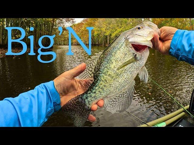 Crappie Fishing in November Made EASY for Beginners!