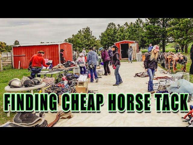 INSANE Tack SALE ~ AMAZING DEALS! So many bargains 